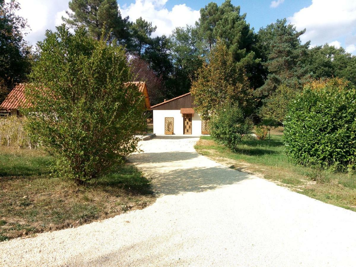 Les Pruniers De La Cipiere Villa Peyzac-le-Moustier ภายนอก รูปภาพ
