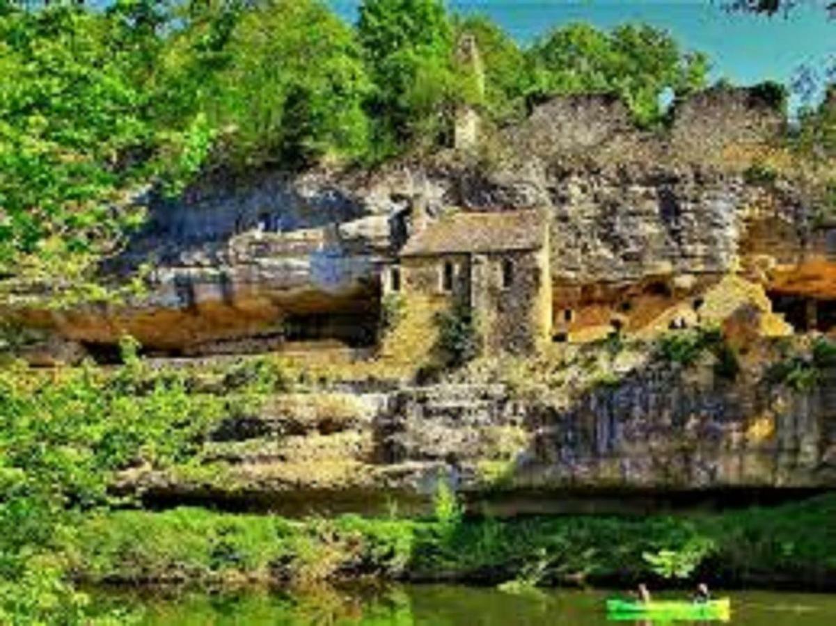 Les Pruniers De La Cipiere Villa Peyzac-le-Moustier ภายนอก รูปภาพ