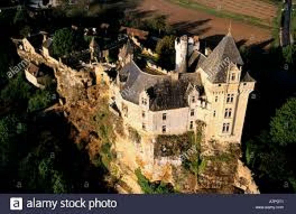 Les Pruniers De La Cipiere Villa Peyzac-le-Moustier ภายนอก รูปภาพ