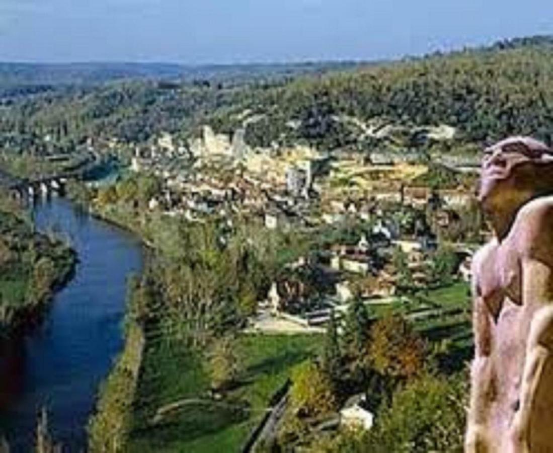 Les Pruniers De La Cipiere Villa Peyzac-le-Moustier ภายนอก รูปภาพ