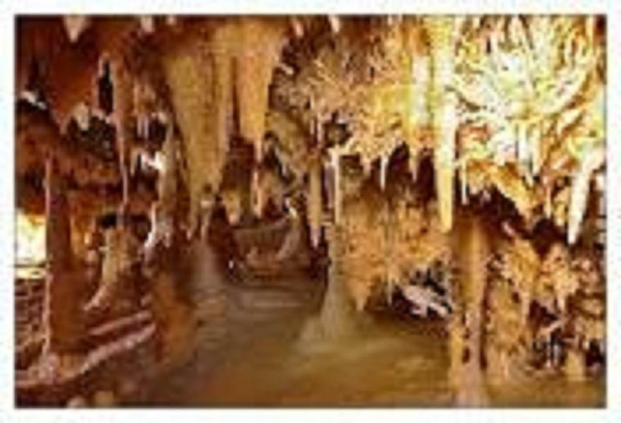 Les Pruniers De La Cipiere Villa Peyzac-le-Moustier ภายนอก รูปภาพ