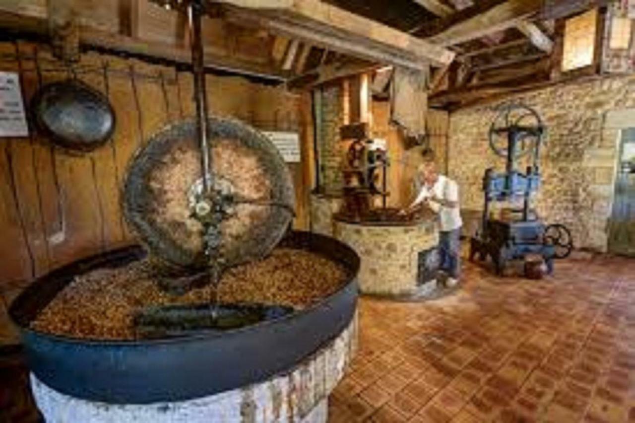 Les Pruniers De La Cipiere Villa Peyzac-le-Moustier ภายนอก รูปภาพ