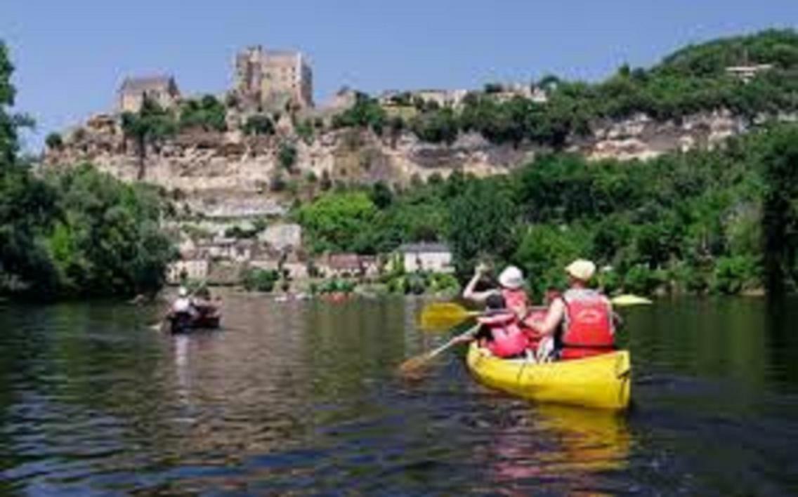 Les Pruniers De La Cipiere Villa Peyzac-le-Moustier ภายนอก รูปภาพ